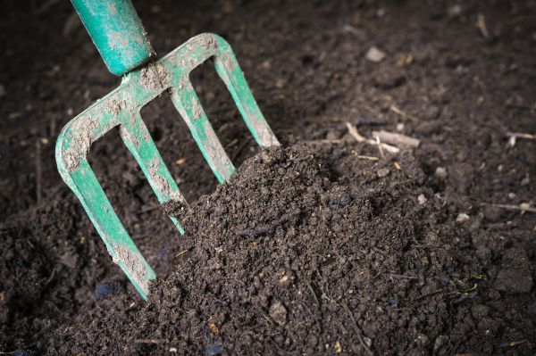 Cost of Topsoil Spreading in Destin