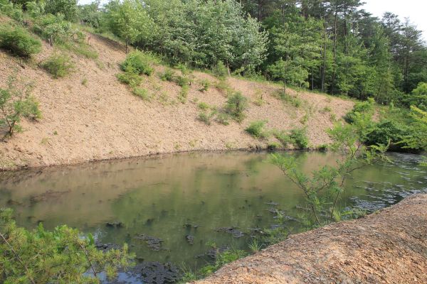 Pond Erosion Repair in Destin