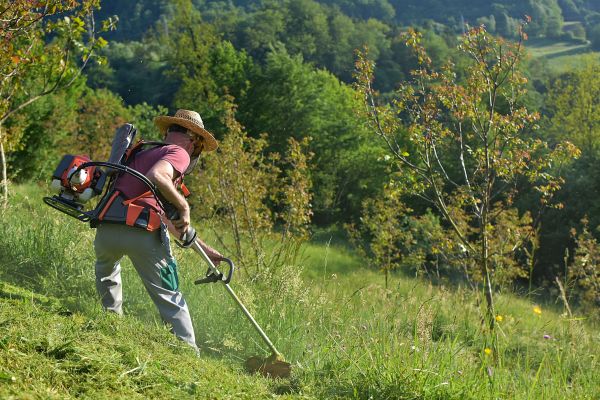 Cost of Slope Trimming in Destin